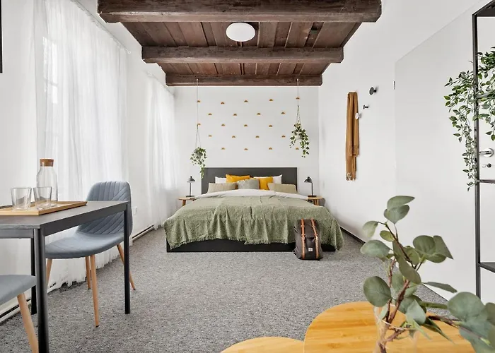 U Libušky #29 Brno-living CzPenzion